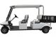electric golf cart/glt2041